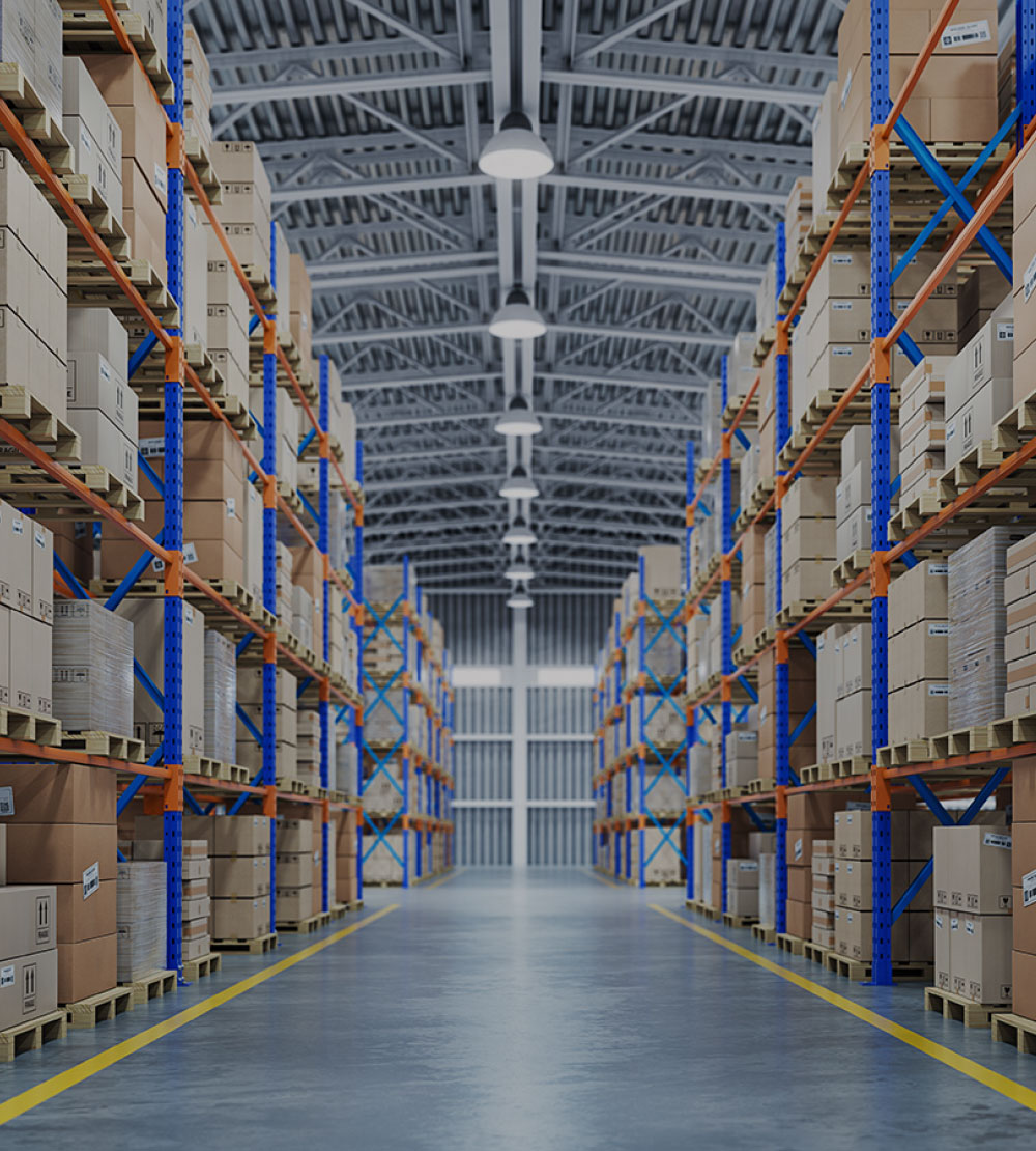 シェルブス メイン